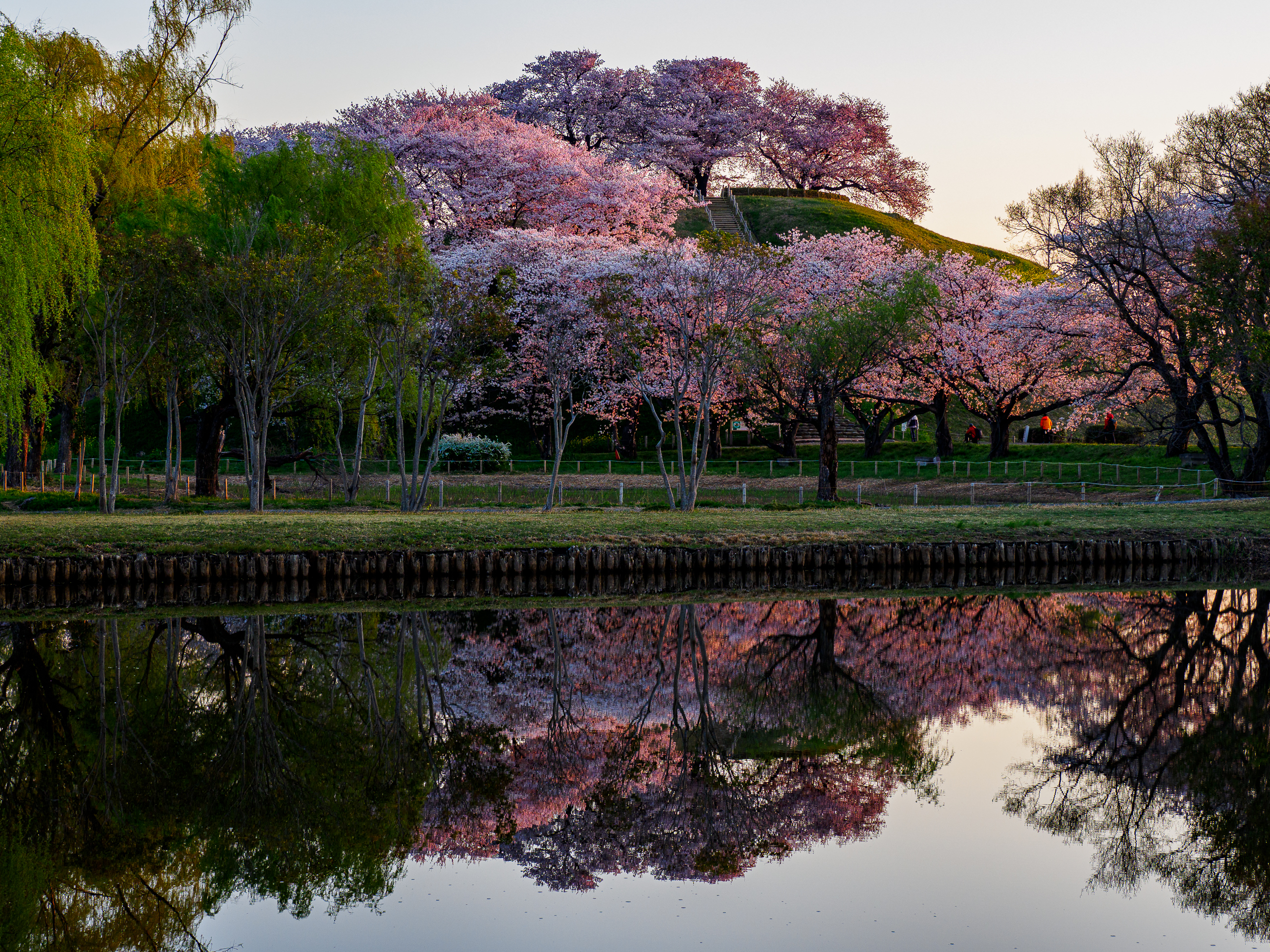 さきたま古墳公園-1