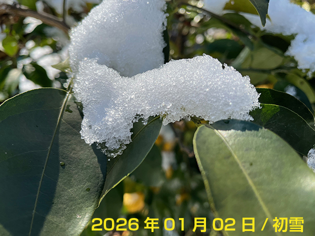 2026-01-02初雪