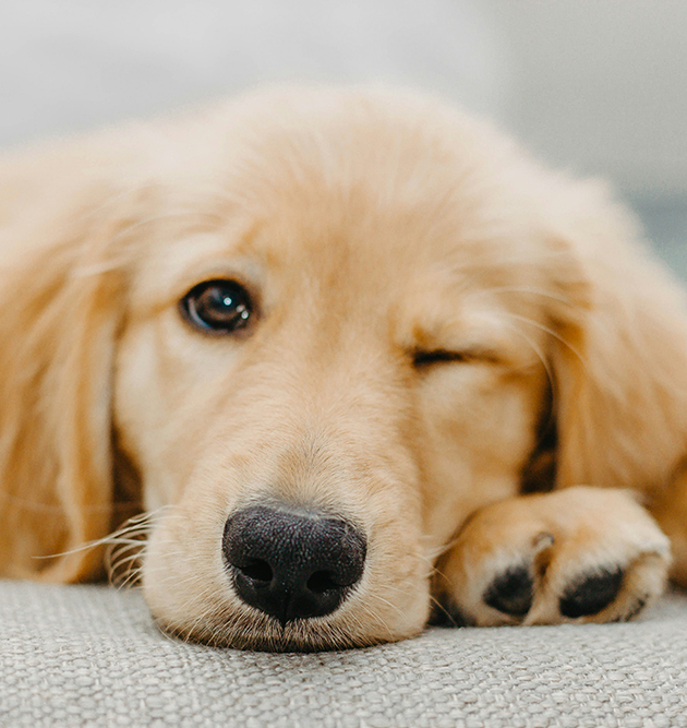 yuuhan-2025-11-05夕飯