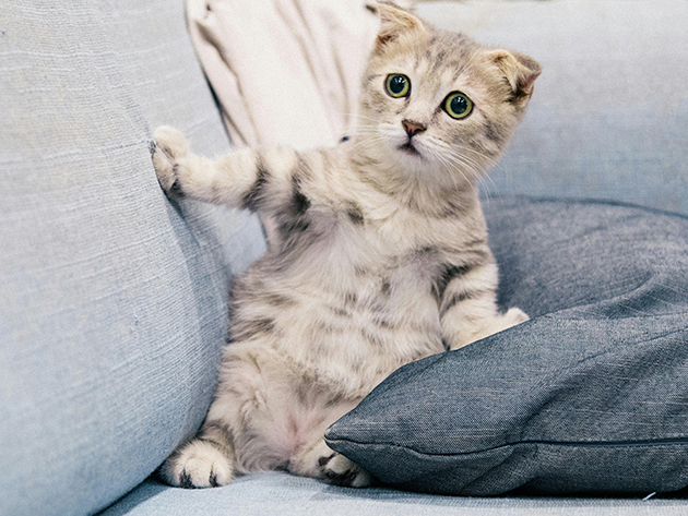 yuuhan-2025-11-07夕飯