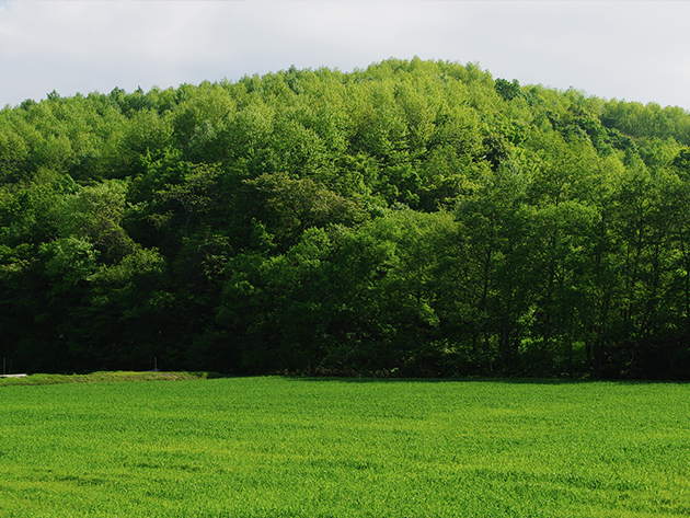 yuuhan-2025-12-01夕飯